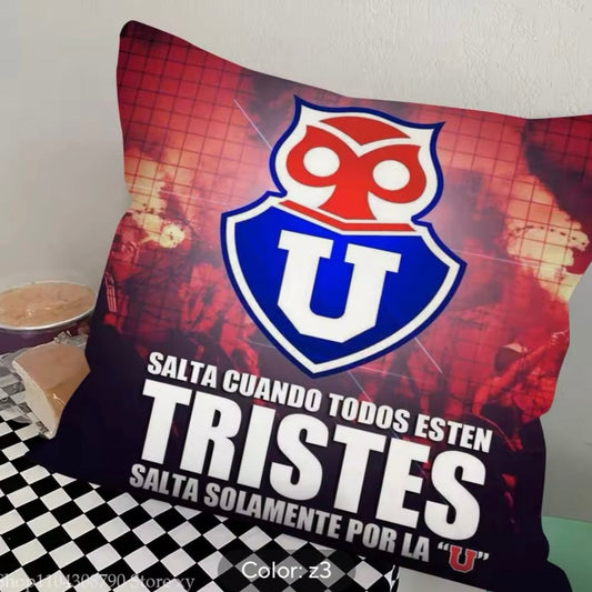 Cojín Universidad de Chile